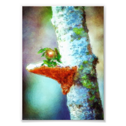 小さな竜が眠る フォトプリント            (正面)