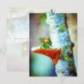 小さな竜が眠る ポストカード (正面/裏面)