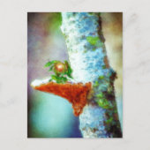 小さな竜が眠る ポストカード (正面)