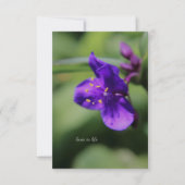 小さな紫色の花のアップクローズ ノートカード (正面)