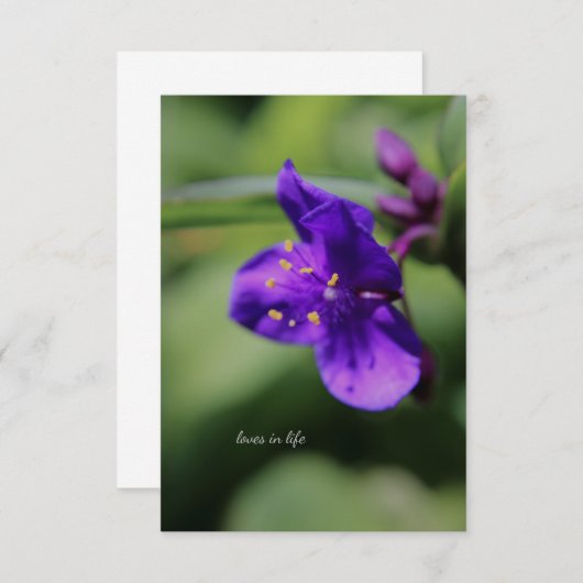 小さな紫色の花のアップクローズ ノートカード (正面/裏面)