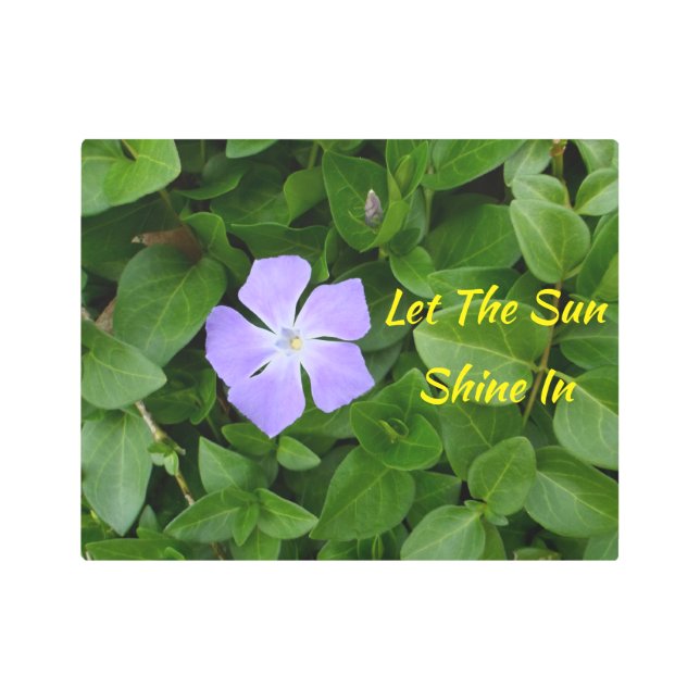 小さな紫色の花 メタルプリント (正面)