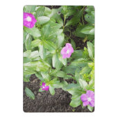 小さな紫色の花#2 ミニクリップボード (裏面)