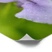 小さな紫色の野生のランの花 ポスター (角)