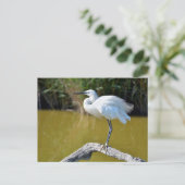 小さな緑が枝に止まっていた ポストカード (スタンド正面)