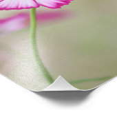 小さな花が咲き乱れもしる聖なる星 フォトプリント            (角)