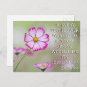 小さな花が咲き乱れもしる聖なる星 ポストカード (正面/裏面)