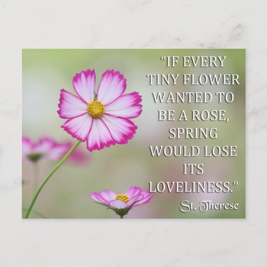 小さな花が咲き乱れもしる聖なる星 ポストカード (正面)