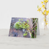 小さな花でコケ、春覚醒 カード (黄色い花)