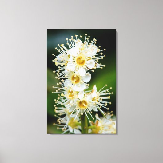 小さな花のクローズアップ キャンバスプリント (正面)
