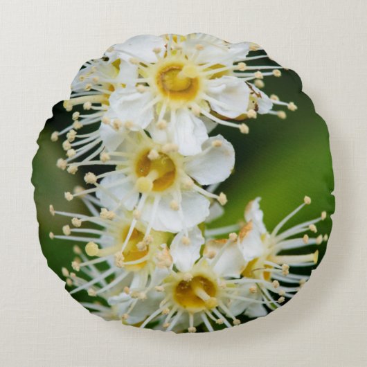 小さな花のクローズアップ ラウンドクッション (正面)