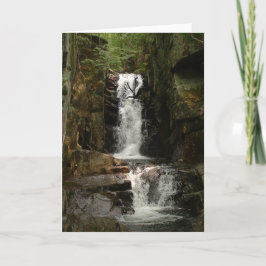 小さな花のグリーティングカード カード