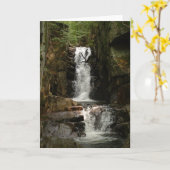 小さな花のグリーティングカード カード (黄色い花)