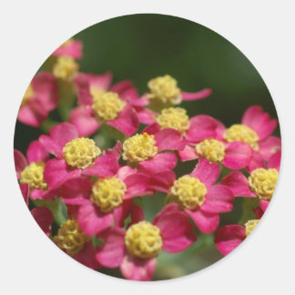 小さな花のシール ラウンドシール