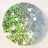 小さな花   コースター (正面)