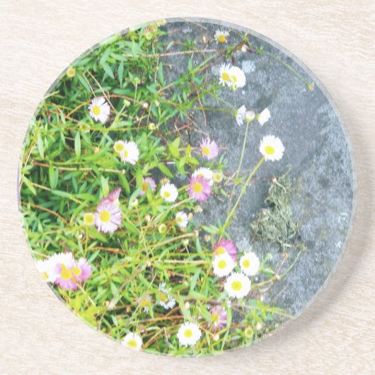 小さな花   コースター (正面)