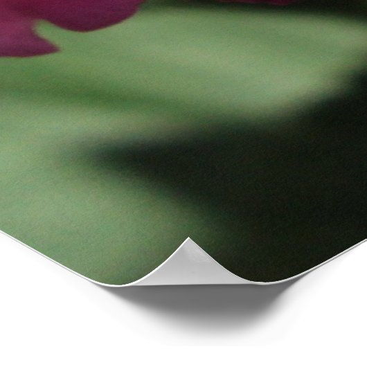 小さな花 ポスター (角)