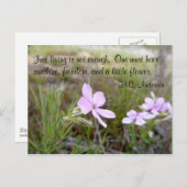 小さな花 ポストカード (正面/裏面)