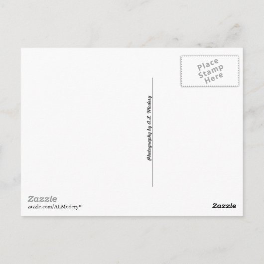 小さな花 ポストカード (裏面)