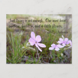 小さな花 ポストカード