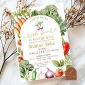 小さな芽が赤ん坊のシャワーの途中にある 招待状