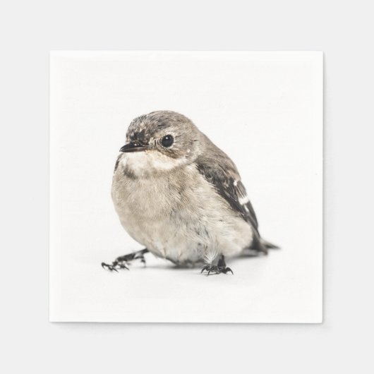 小さな茶色の庭の鳥の写真 スタンダードカクテルナプキン (正面)