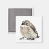 小さな茶色の庭の鳥の写真 マグネット (正面/裏面)