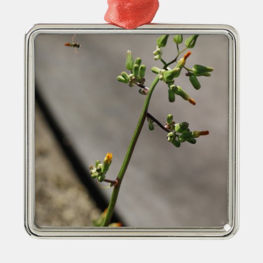 小さな虫、小さな花 メタルオーナメント (正面)