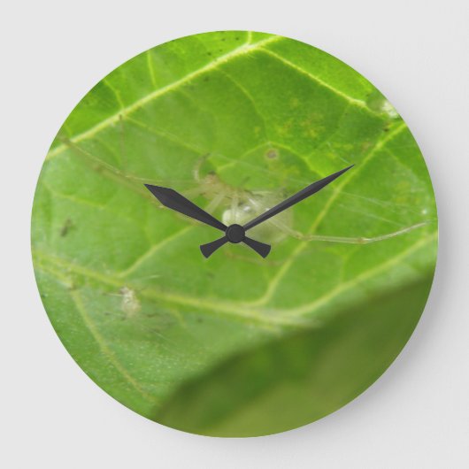 小さな蜘蛛の壁時計 ラージ壁時計 (正面)