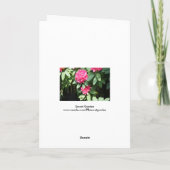 小さな蝶々の挨拶をするピンクのシャクナゲ カード (裏面)