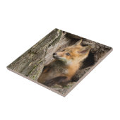 小さな赤いキツネが木の空洞に タイル (側面)