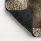 小さな赤いキツネが木の空洞に マウスパッド (コーナー)