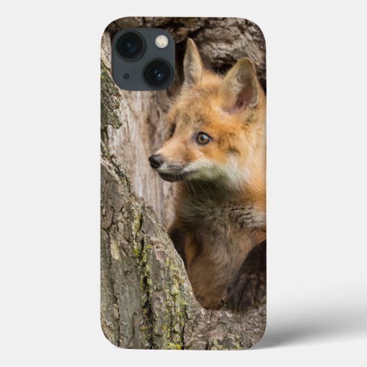 小さな赤いキツネが木の空洞に Case-Mate iPhoneケース (裏面)