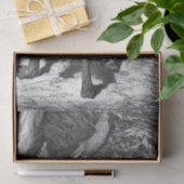 小さな赤い乗馬フードはオオカミ老人に出会う 薄葉紙 (ギフト)