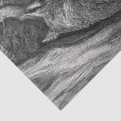 小さな赤い乗馬フードはオオカミ老人に出会う 薄葉紙 (詳細)