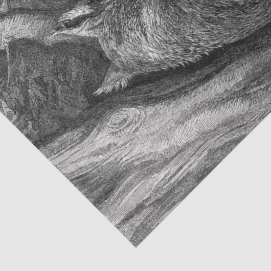 小さな赤い乗馬フードはオオカミ老人に出会う 薄葉紙 (詳細)