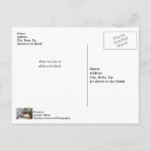 小さな赤い橋のポスト空白のカード ポストカード (裏面)