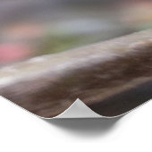 小さな赤い芽 ポスター (角)