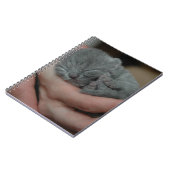小さな赤ちゃん青の子猫 ノートブック (左側)