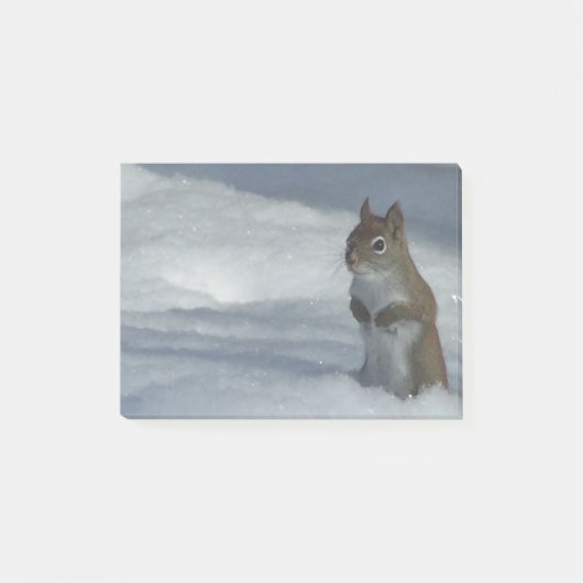 小さな赤リス ポストイット (正面)