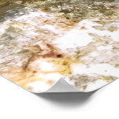 小さな赤魚 ポスター (角)