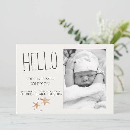 小さな農場のぬいぐるみ動物 赤ちゃんのお知らせ 招待状 (スタンド正面)