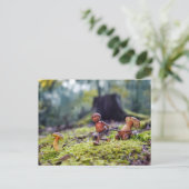 小さな運荷車にドングリ小妖精や小人のキノコ ポストカード (スタンド正面)