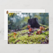 小さな運荷車にドングリ小妖精や小人のキノコ ポストカード (正面/裏面)