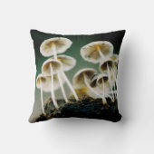 小さな野生のキノコ クッション (裏面)