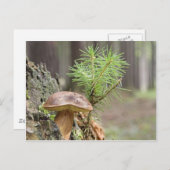 小さな野生のキノコ ポストカード (正面/裏面)