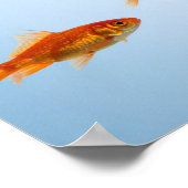 「小さな金魚、大きなサメのエネルギー」 ポスター (角)
