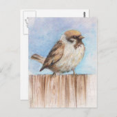 小さな雀 ポストカード (正面/裏面)