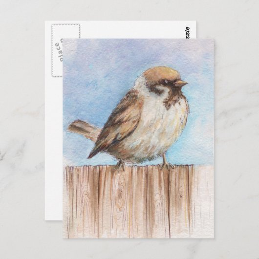小さな雀 ポストカード (正面/裏面)