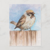小さな雀 ポストカード (正面)